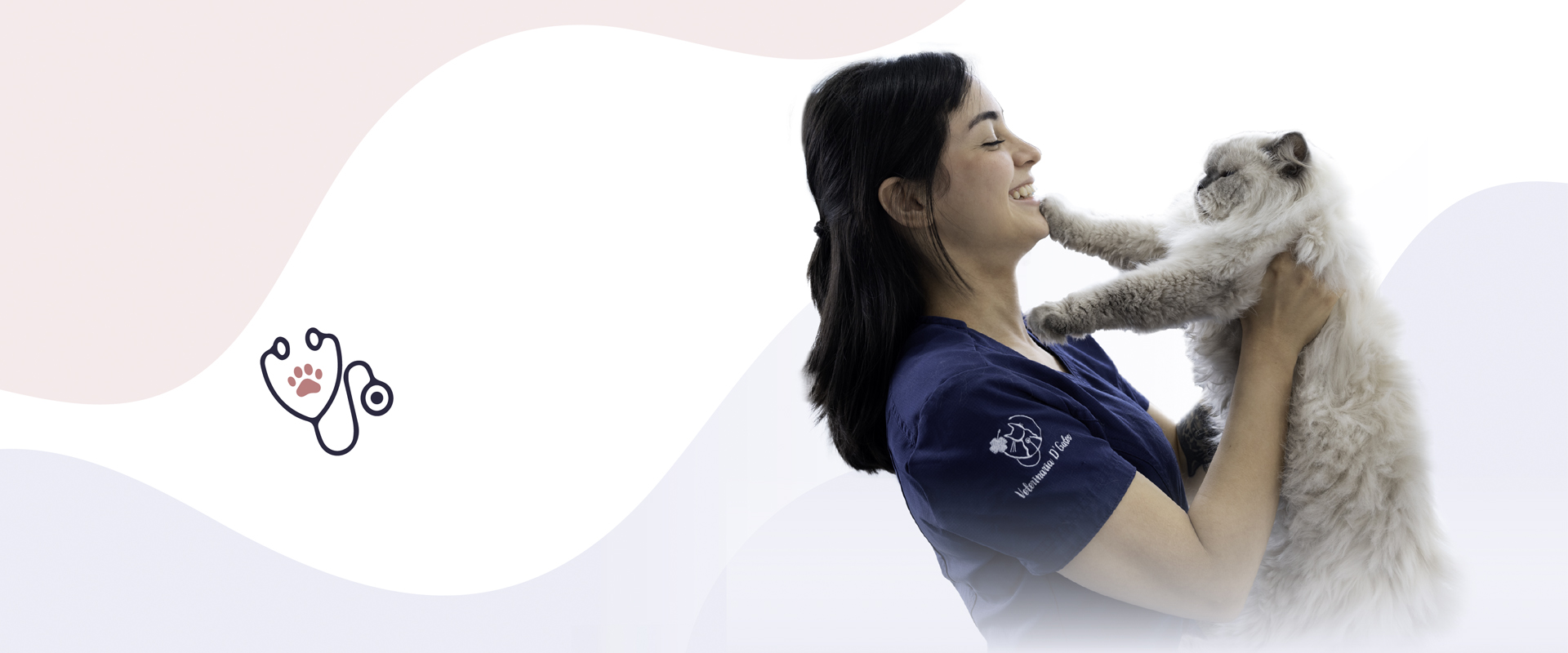 SliderPrincipalVeterinariadGatos