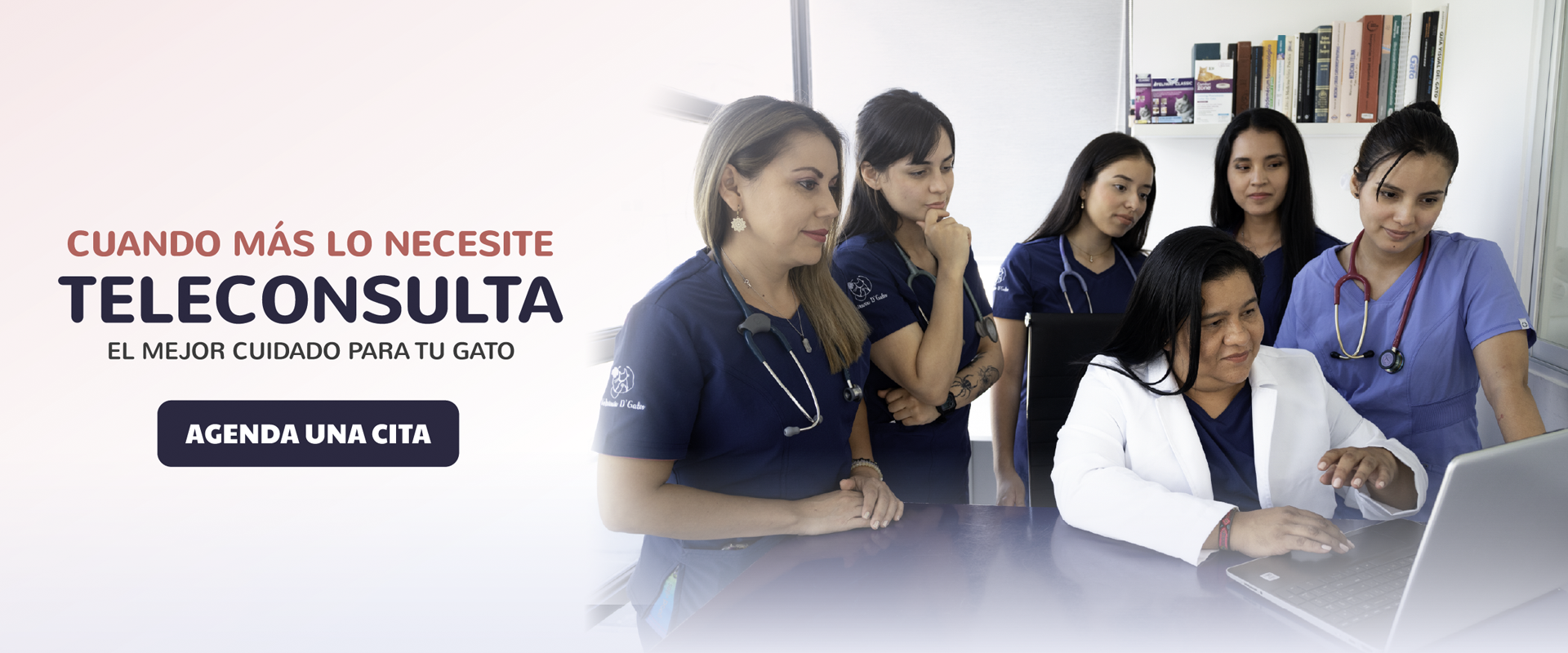 BannerEnero2VeterinariadGatos