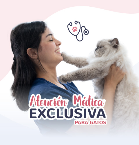 atencion-medica-vdg1
