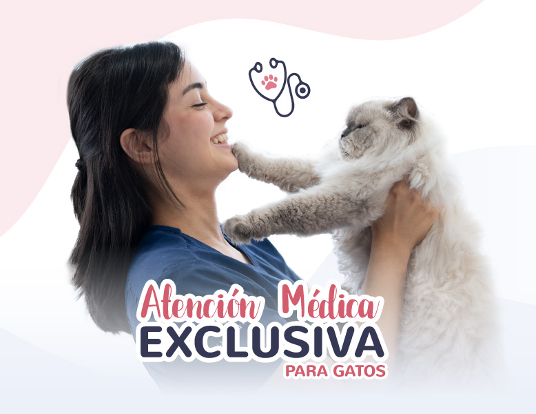 atencion-medica-vdg2